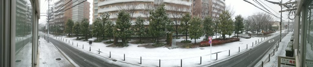 積雪